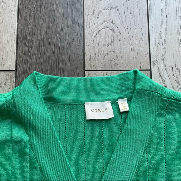 Cyrus Vibrant Green V-Neck Sweater - Picture 2 of 4
